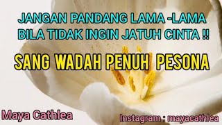 Download Lagu JANGAN PANDANG LAMA - LAMA BILA TIDAK INGIN JATUH CINTA !! SANG WADAH PENUH PESONA MP3