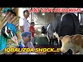 PERTAMA KALI LIAT SAPI MINI DAN CONDROSIMO,IQBALIZDA KAGET..!!