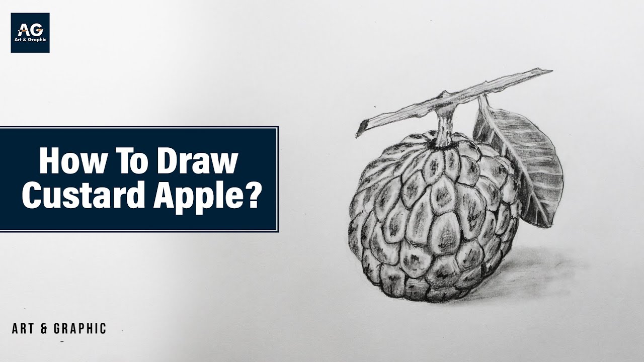 Drawing Apple Shading, red apple, food, shading, fruit png | PNGWing