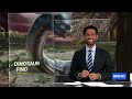 Giant new dinosaur identified from fossils in Thailand | The World | ABC NEWS