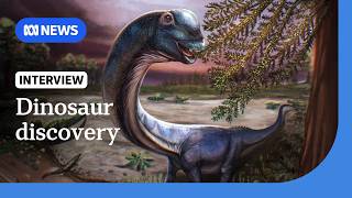 Giant new dinosaur identified from fossils in Thailand | The World | ABC NEWS