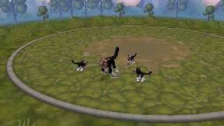 kitty-spore