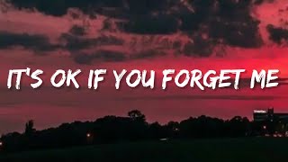 Astrid S -  It's Ok If You Forget Me (Lyrics)