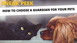 How to choose a guardian for your pet - should anything happen to you!