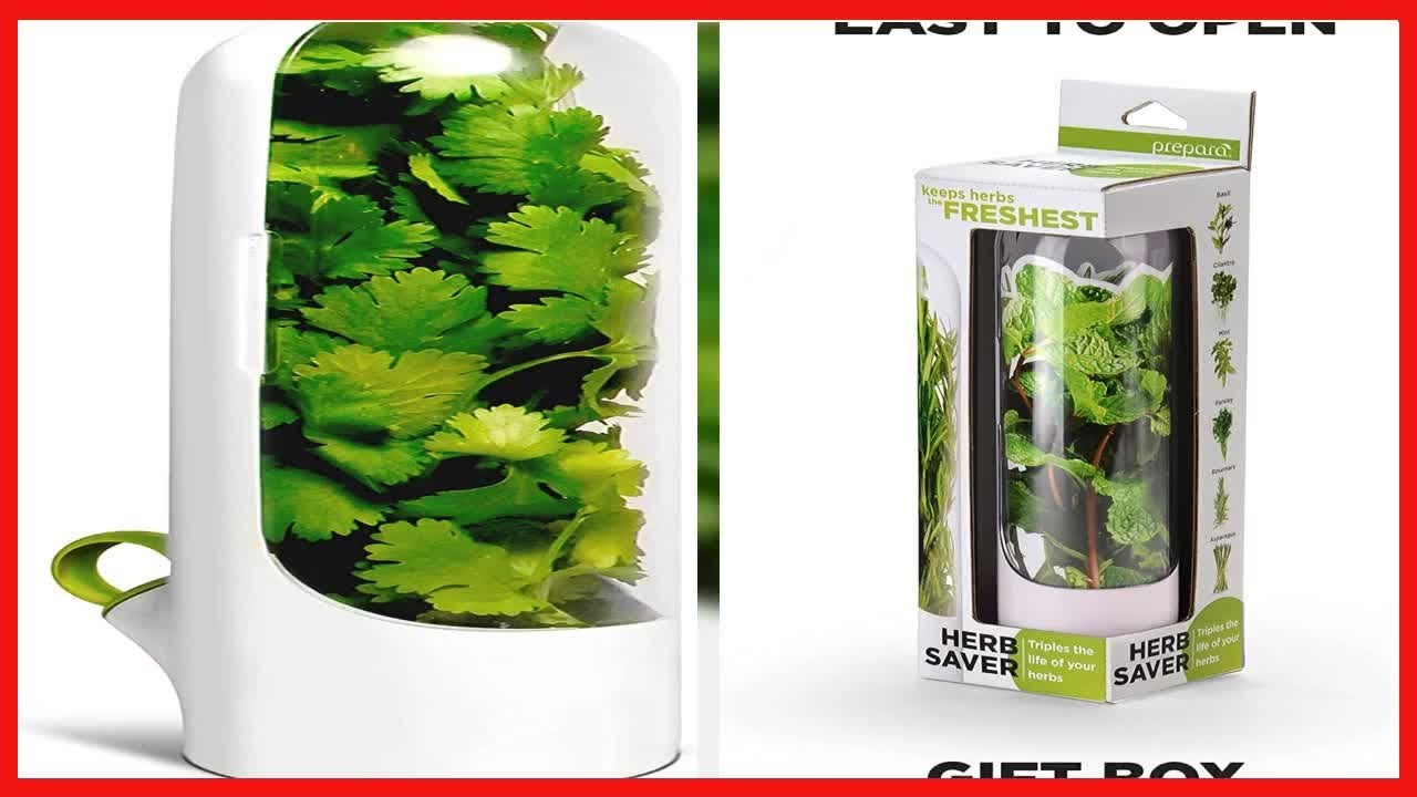 Great product -  Herb Saver Best Keeper for Freshest Produce - Innovation that Works by Prepara