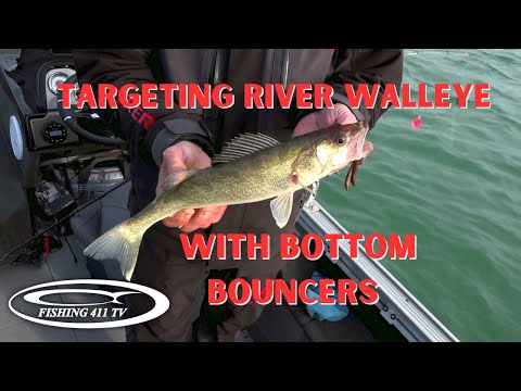 Targeting Walleye on Bottom Bouncers in Rivers 