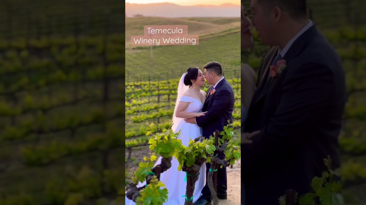 Temecula Winery Wedding! Beautiful views💞