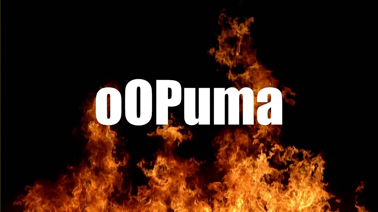 oOPuma´s Intro Test