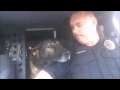 K-9 Faust retires from BNSF Railway Police after 8 years, 1 day of service