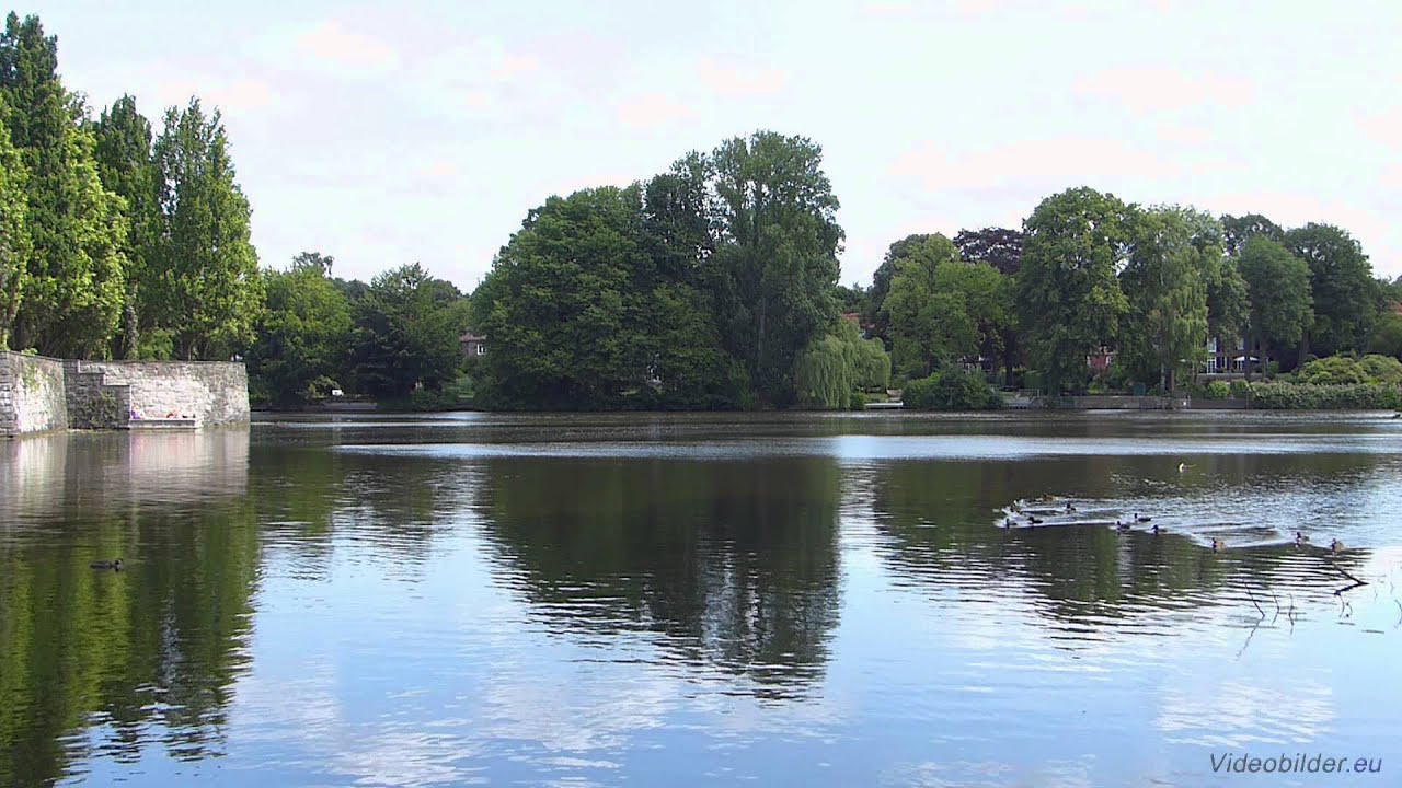 Hamburg, Alster, Hayns Park am Ufer, Blick auf Alster, Full HD (1080p) Videobild 1080p 144hz