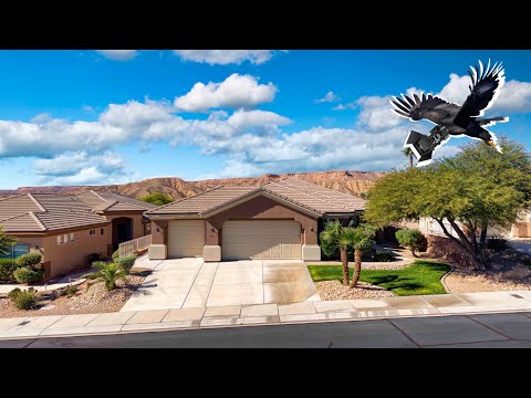 499 Long Iron Ln, Mesquite, NV home video tour