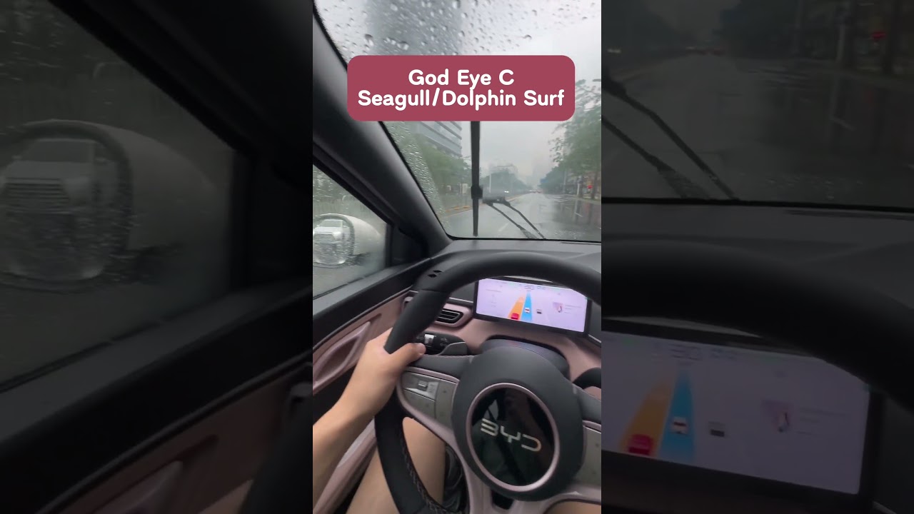 BYD dolphin surf with God Eye 