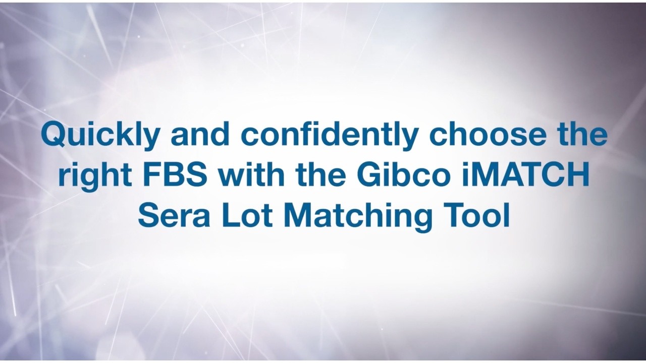 Faster, Easier Cell Line Authentication Using Gibco iMatch Software