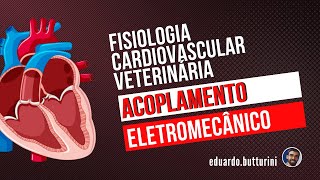 Acoplamento eletromecânico (aula 2) - Fisiologia cardiovascular