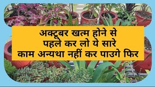 October Month Workkar Lo Abhi Time Rahate November Se Nai Kar Paougefull Watch