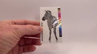 22pt Silk Laminated Card Stock With UV Spot Gloss Printing | Clubcard TV