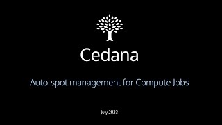 Cedana Auto Spot Management