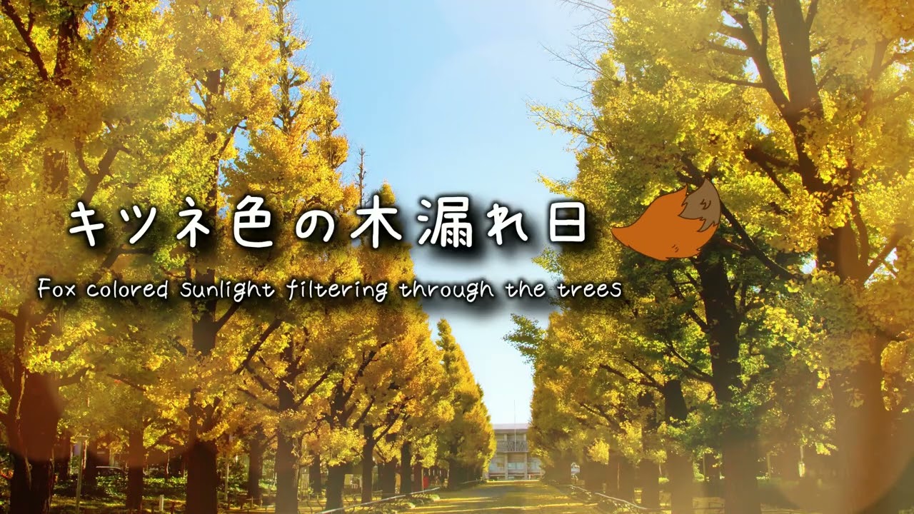 「屋根づたいの君へ」Audio Collection YouTube
