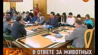 В ответе за животных В ответе за животных