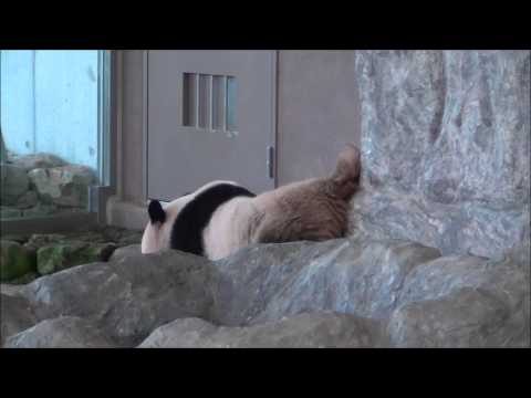 201408日暮れ時の優浜
