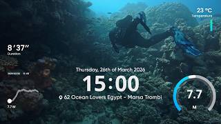 Dive 62 - Ocean Lovers Egypt Liveaboard - Marsa Trombi - Unguided Underwater Canyon Dive
