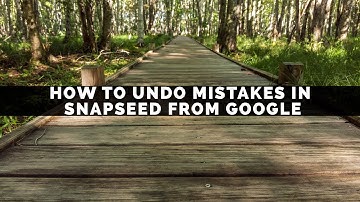 How To Undo Mistakes In Snapseed From Google