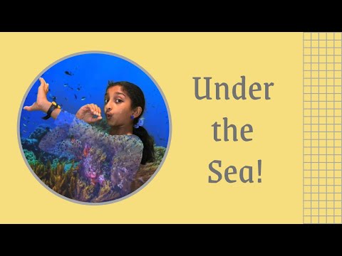 Under the Sea from The Little Mermaid (with lyrics)