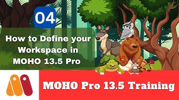 How to Define your Workspace in MOHO 13.5 Pro | MOHO Training | 2D Animation Mastery