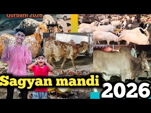 Sagyian mandi2026|bull|Qurbani|bakra||camle||🐫🐄🐐|video|viral|