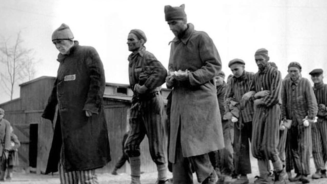 Howard Kleinberg - Holocaust