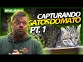 ENCONTRAMOS O MAIOR GATO DO MATO DOS PAMPAS GAÚCHOS! | RICHARD RASMUSSEN