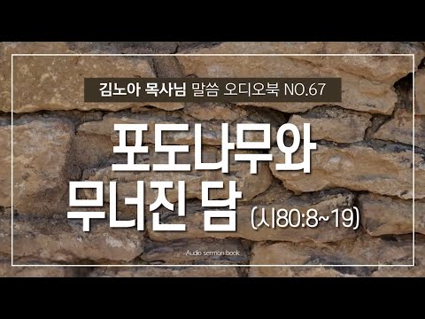성서총회- [김노아목사님 말씀 오디오북 67화] 포도나무와 무너진 담