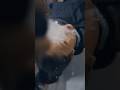 この新人美容師の問題行動どう思いますか？ #shorts