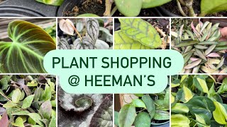 Plant Shopping @ Heeman’s (Hoya, succulents, philodendron ￼and more houseplants)