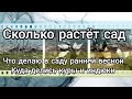 Живу в Краснодарском крае, лечу старый сад, ращу молодой сад, моя выгребная яма, где куры и индюки.