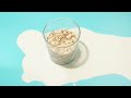 Is oat milk good for you? | Quartz Obsession podcast