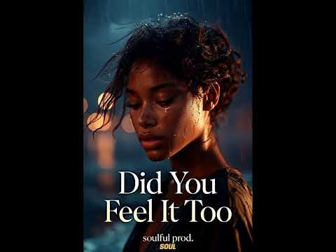 Did You Feel It Too / Soulful Prod.