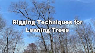 A Discussion on Arborist Rigging Techniques for Leaning Trees