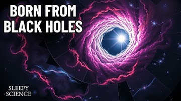Are Multiverses Born from Black Holes?