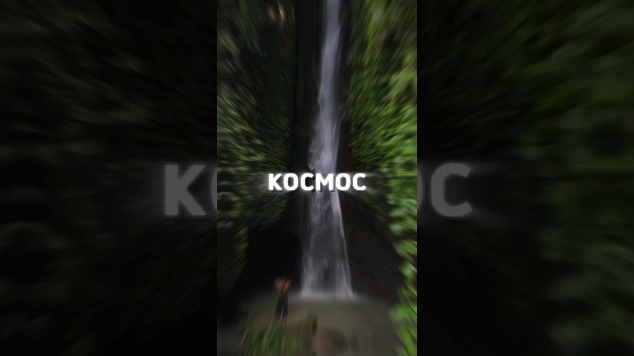 звучит как хит. нет? 