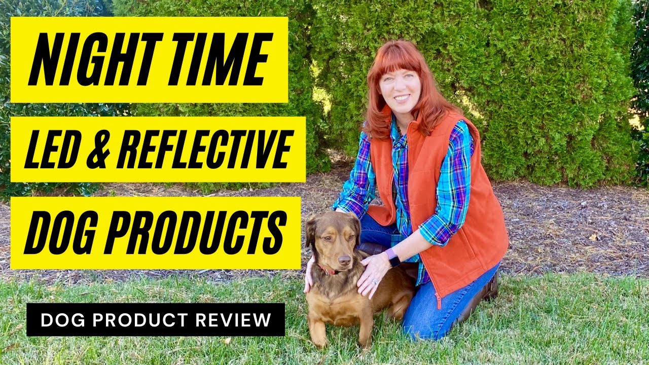 Must Have Dog Products for Dog Walking at Night YouTube