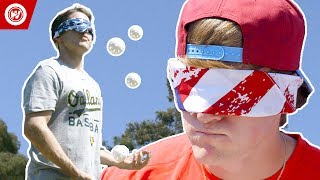 Dizzy Bat Baseball | MLB All-Star 2017