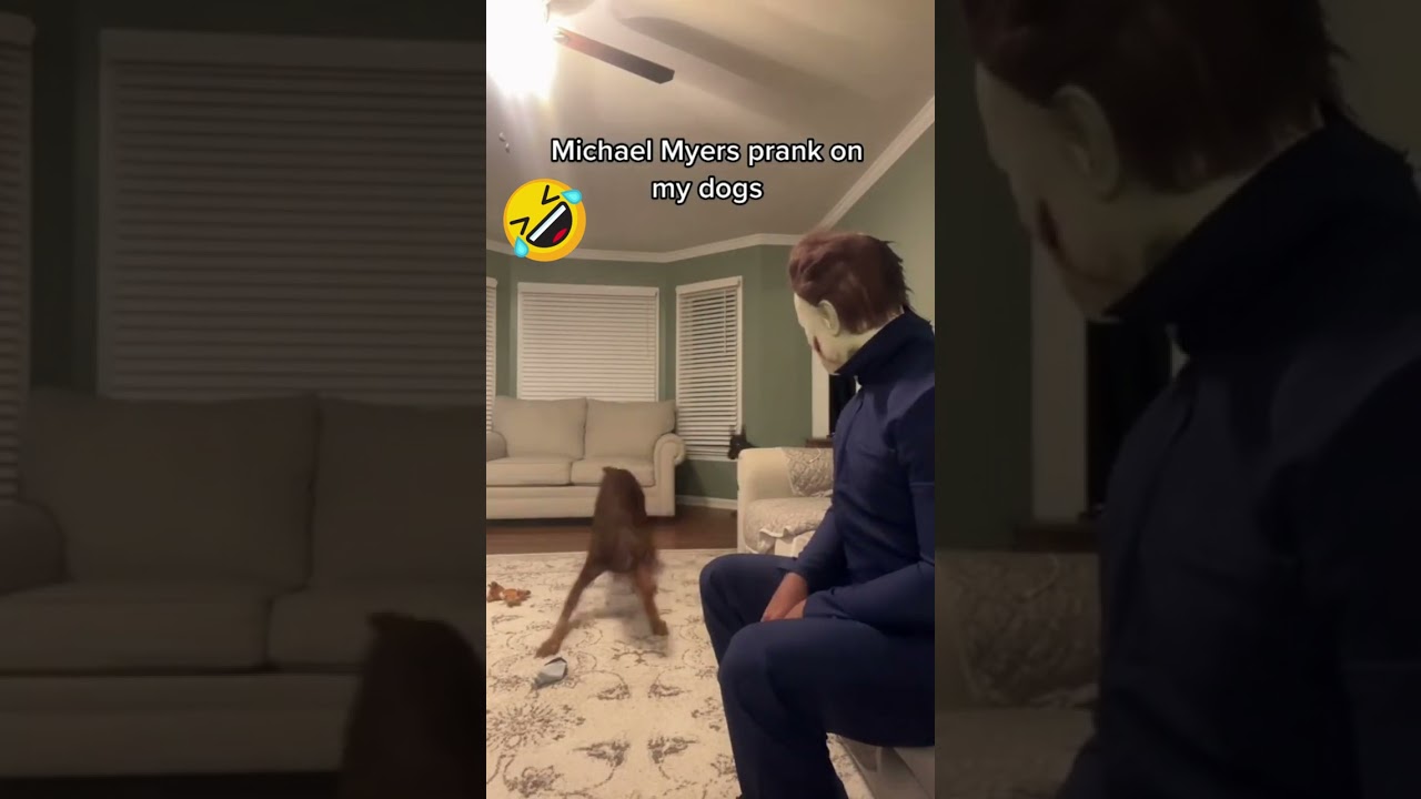 Halloween Prank On Dog😂🤣 #2 