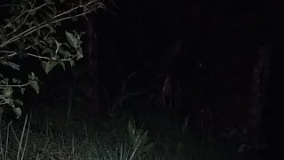 Live misteri ‼️ APAKAH SOSOK WANITA MISTERIUS ITU BENAR ADANYA ❓