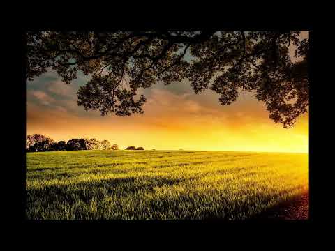 'Chasing Daylight' by Scott Buckley🎵Relaxing music