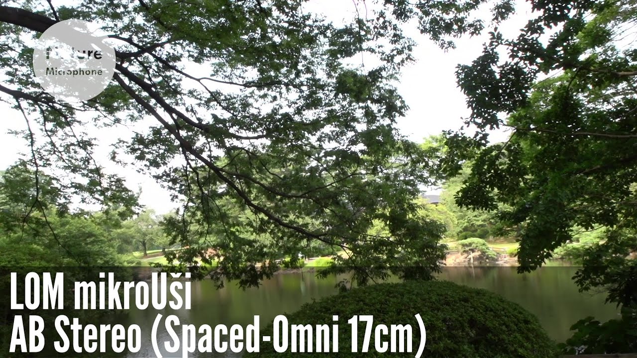 開封のみ LOM / MikroUsi Pro マイク マイク