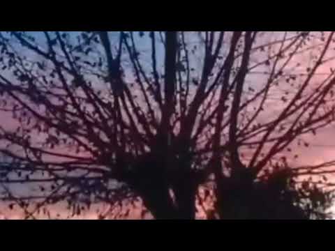 Keren Ann ~ Not Going Anywhere {audio HQ}