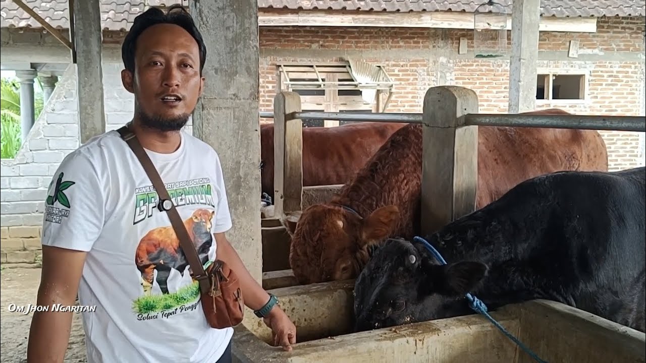 DAPAT BANYAK ILMU, Dolan Kandang Sapi Pak Dokter Annas‼️