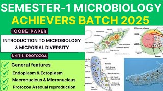 Protozoa General Features | Endo & Ectoplasm| Nucleus types| Protozoa outer covering | Reproduction|