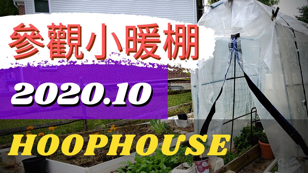 如何給暖棚增溫 大開眼界的美國暖棚加溫法 暖房增溫技巧 溫室保溫經驗分享 冬天種菜防雪防寒 蔬菜小暖棚